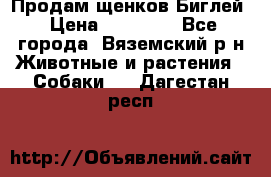 Продам щенков Биглей › Цена ­ 15 000 - Все города, Вяземский р-н Животные и растения » Собаки   . Дагестан респ.